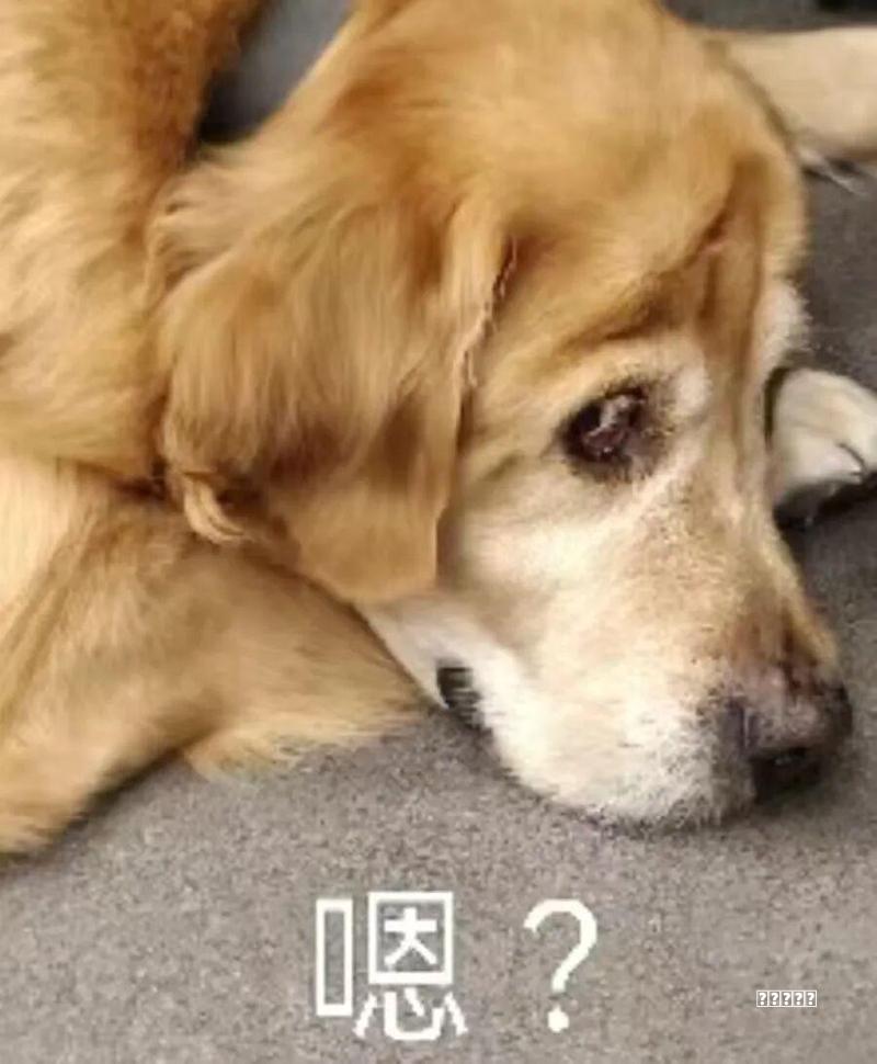 2024年第13周(3.25-3.31)上市新车汇总指南